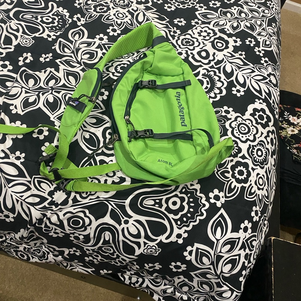 Patagonia Green Travel Bag